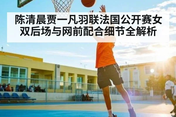 陈清晨贾一凡羽联法国公开赛女双后场与网前配合细节全解析